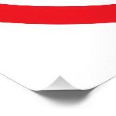 Poster NO Repugs (Coin)