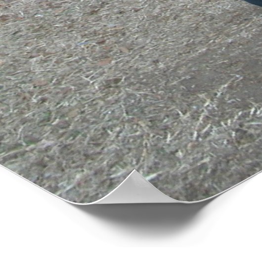 Poster No War (Coin)