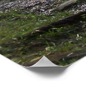 Poster Noah "Bud" Ogle Cabine (Coin)