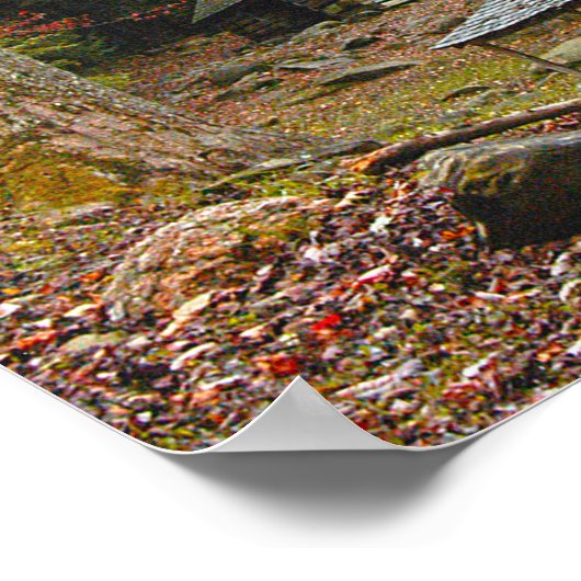 Poster Noah "Bud" Ogle Cabine dans les Smokies (Coin)