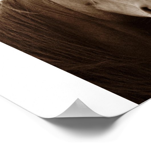 Poster Noble Cheval (Coin)