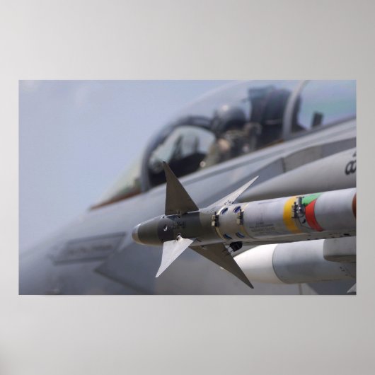 Poster Noble mission (Devant)