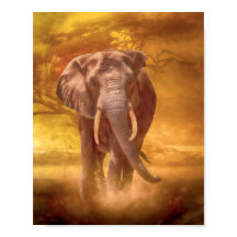 Noblesse des éléphants africains