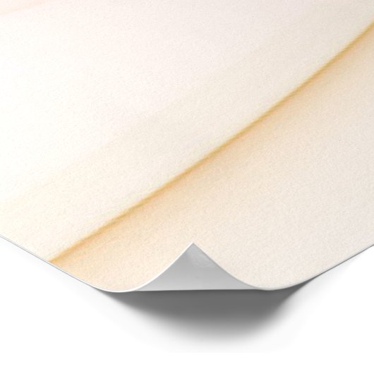 Poster Nobly Copper And Gold Abstract Modern Fractal Art (Coin)