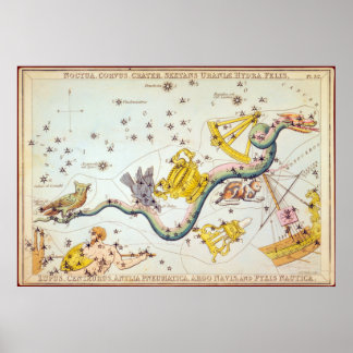 Poster Noctua, Corvus, Cratère, etc.