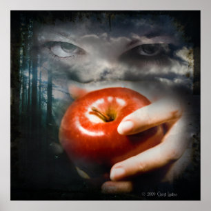 Poster Nocturne