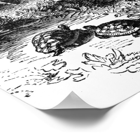 Poster Noé et l'Arche (Coin)