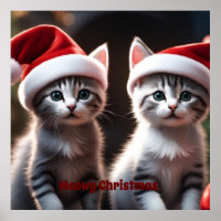 Noël à Kitten