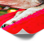 Poster Noël au Chihuahua (Coin)