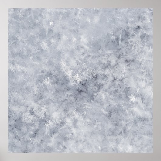 Poster Noël blanc neige (Devant)