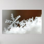 Poster Noël Blizzard 2009 (Devant)