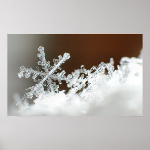 Poster Noël Blizzard 2009