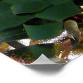 Poster Noël Bows colorés Festive vacances (Coin)