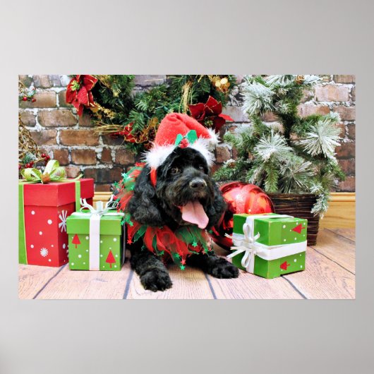 Poster Noël - Cockapoo - Jack (Devant)