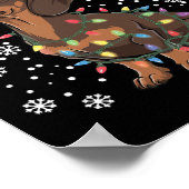 Poster Noël Dachshund (Coin)