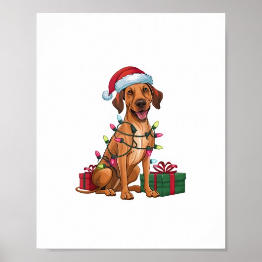 Poster Noël Éclairage Santa Hat Thai Ridgeback Chien Chri (Devant)