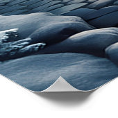 Poster Noël Enchanted Winter Wonderland (Coin)