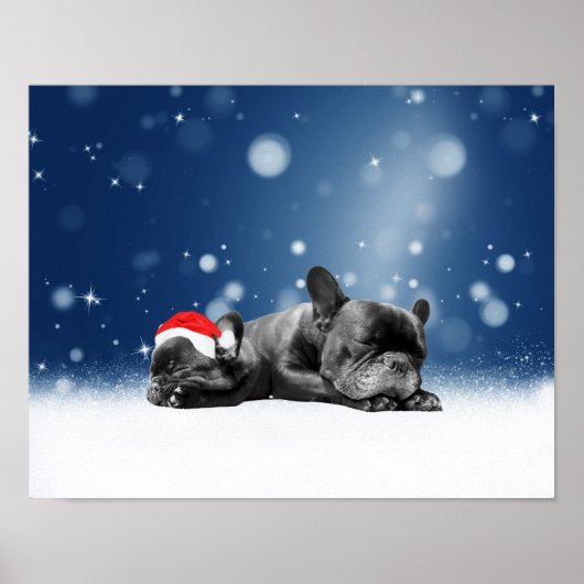 Poster Noël Français Chien de taule Chien Chien de Chien  (Devant)