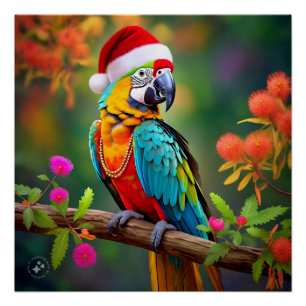 Poster Noël Macaw Porté Un Chapeau De Père Noël-56485