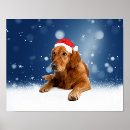Poster Noël Mignonne Golden Retriever Chien Santa Hat Nei (Devant)