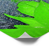 Poster Noël Poinsettia Green Lisa III (Coin)