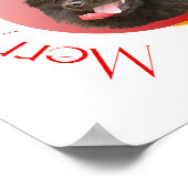 Poster Noël Poméran (Coin)