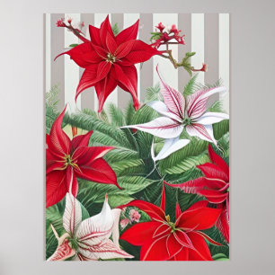 Poster Noël Rouge Amaryllis et Poinsettias