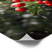 Poster noël saint magnifique photo (Coin)