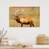 Poster Noël Salutations du chasseur Rassembleur dans ma v (Cuisine)