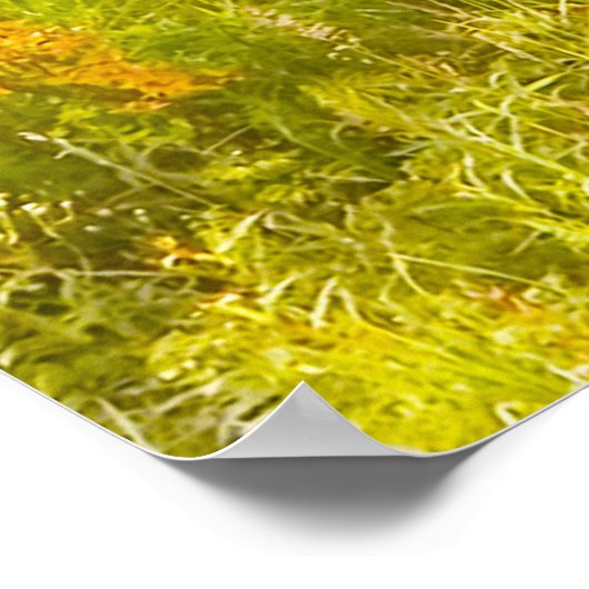 Poster Noël Salutations Mon Hunter Gatherer (Coin)