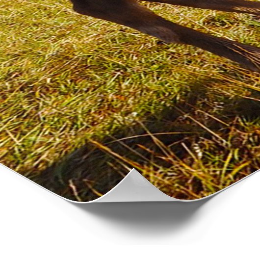 Poster Noël Salutations Mon Hunter Gatherer (Coin)