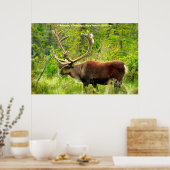 Poster Noël Salutations Mon Hunter Gatherer (Cuisine)