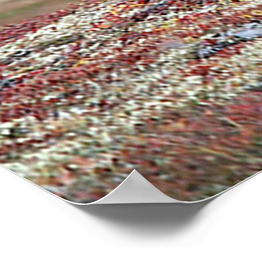 Poster Noël Salutations Mon Hunter Gatherer (Coin)