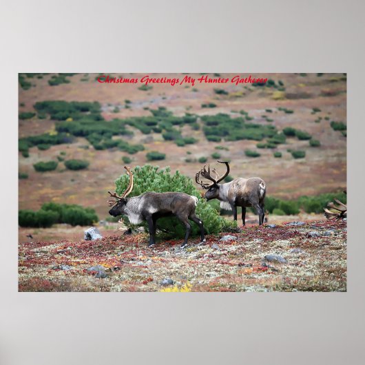 Poster Noël Salutations Mon Hunter Gatherer (Devant)