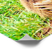 Poster Noël Salutations Mon Hunter Gatherer (Coin)