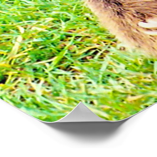 Poster Noël salutations Papa Hunter Gatherer (Coin)