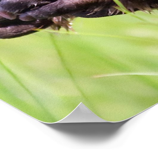 Poster Noël salutations Papa Hunter Gatherer (Coin)