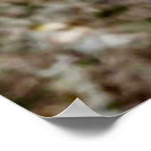 Poster Noël salutations Papa Hunter Gatherer (Coin)