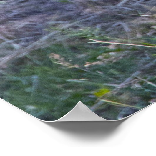 Poster Noël salutations Papa Hunter Gatherer (Coin)