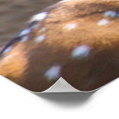 Poster Noël salutations Papa Hunter Gatherer (Coin)