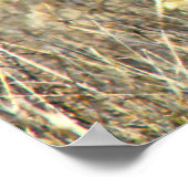 Poster Noël salutations Papa Hunter Gatherer (Coin)