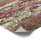 Poster Noël salutations Papa Hunter Gatherer (Coin)