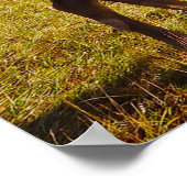 Poster Noël salutations Papa Hunter Gatherer (Coin)