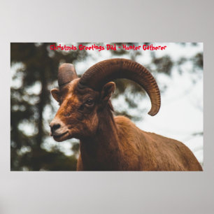 Poster Noël salutations Papa Hunter Gatherer