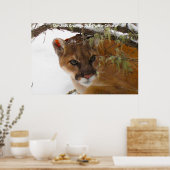 Poster Noël salutations Papa Hunter Gatherer (Cuisine)