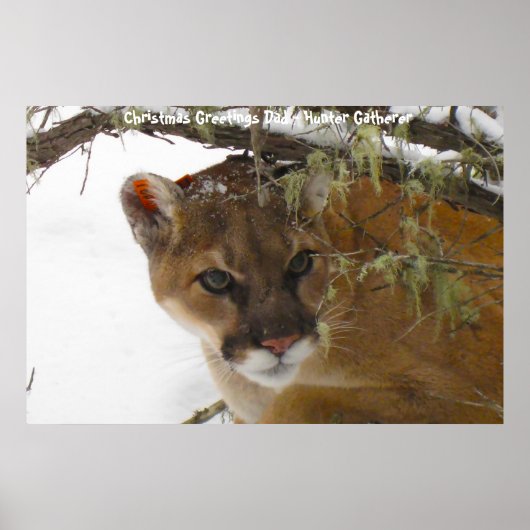 Poster Noël salutations Papa Hunter Gatherer (Devant)