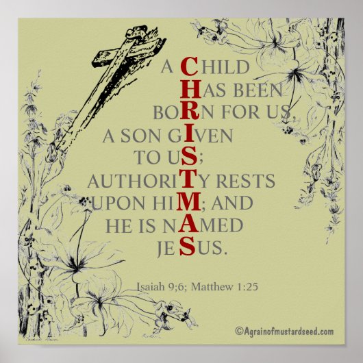 Poster NOËL signifie (Devant)