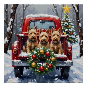 Poster Noël Terrier Écossais Camion Rouge Fêtes