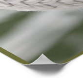 Poster Noeud nautique (Coin)