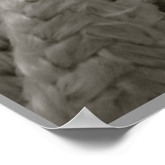 Poster Noeud nautique (Coin)